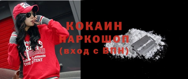 МДПВ Богородск