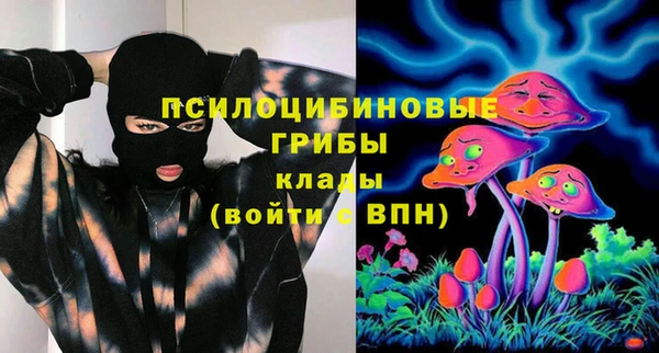 МДПВ Богородск