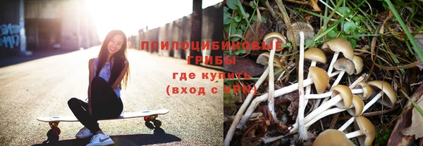 Альфа ПВП Богородицк