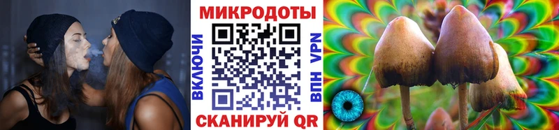 Галлюциногенные грибы Magic Shrooms  Кола 